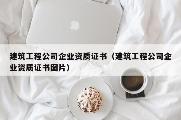KAIYUN体育-建筑工程公司企业资质证书（建筑工程公司企业资质证书图片）